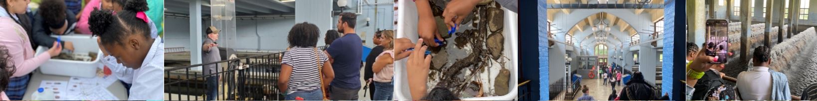 Fieldtrip_tour_banner