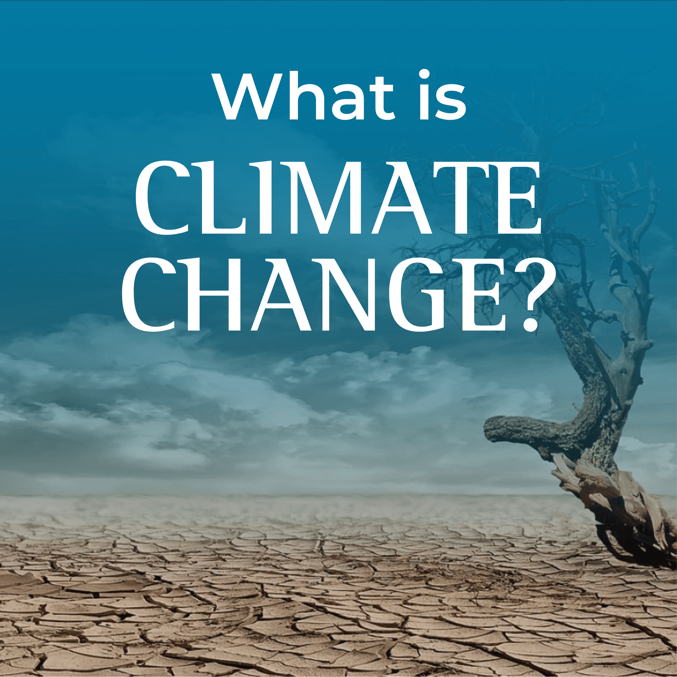 Climate Change  Brochure Icon