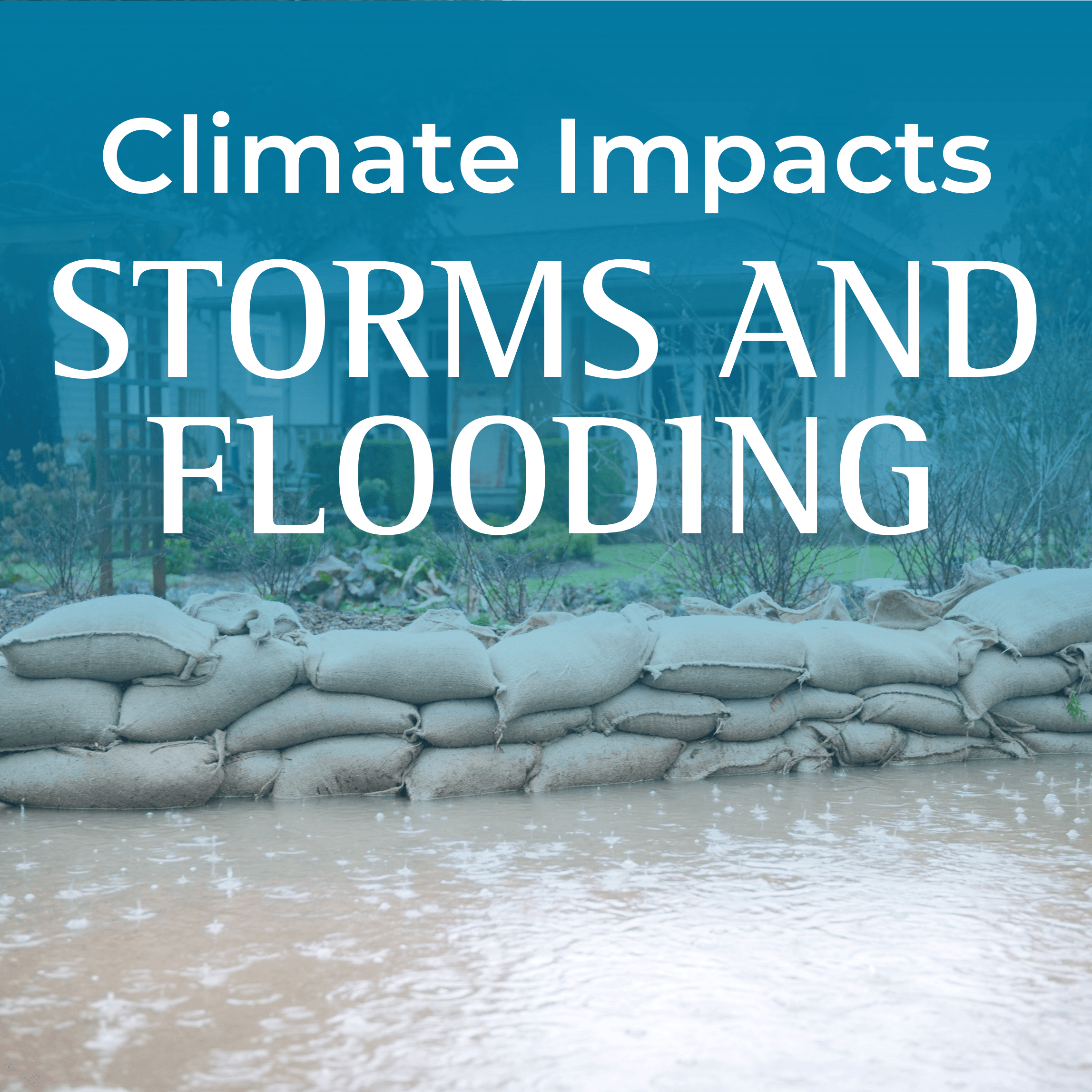 Storms  Brochure Icon