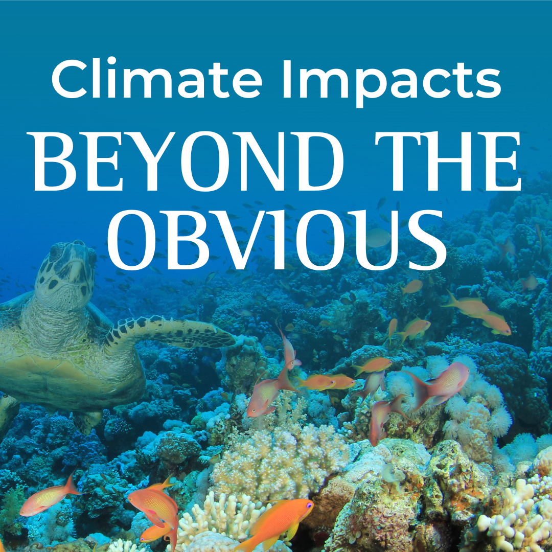 Climate Impacts: Beyond the Obvious