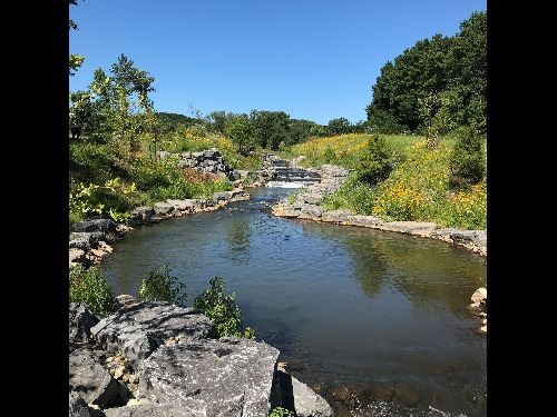 Patroon Creek August 2020
