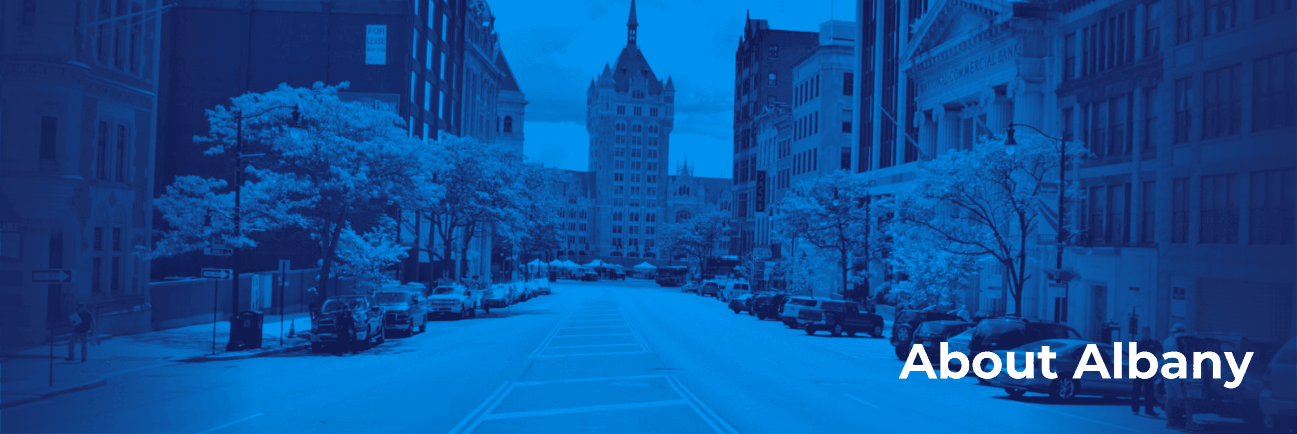 About Albany Gov. Banner (PNG)