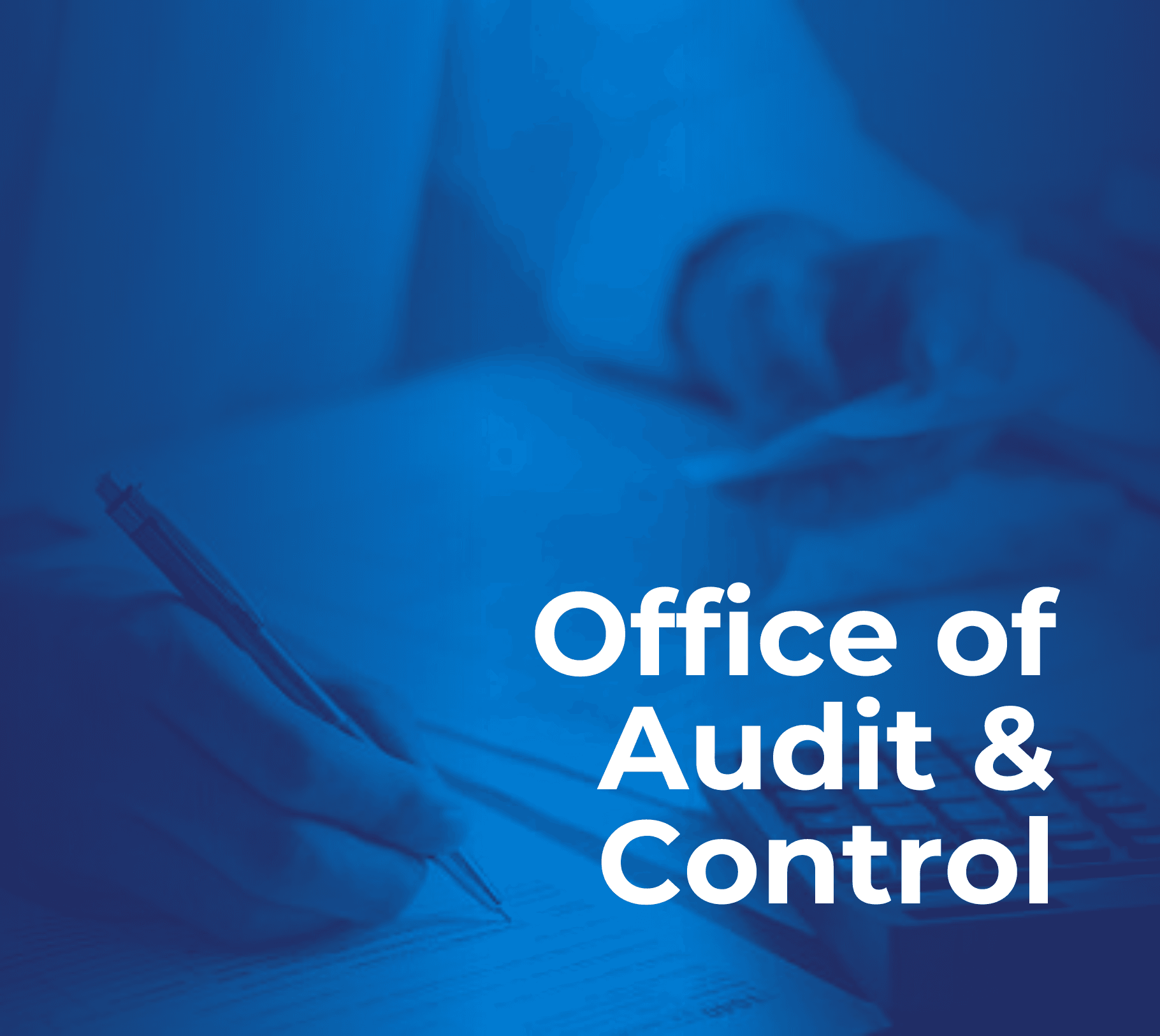 Audit Gov. Banner (PNG)