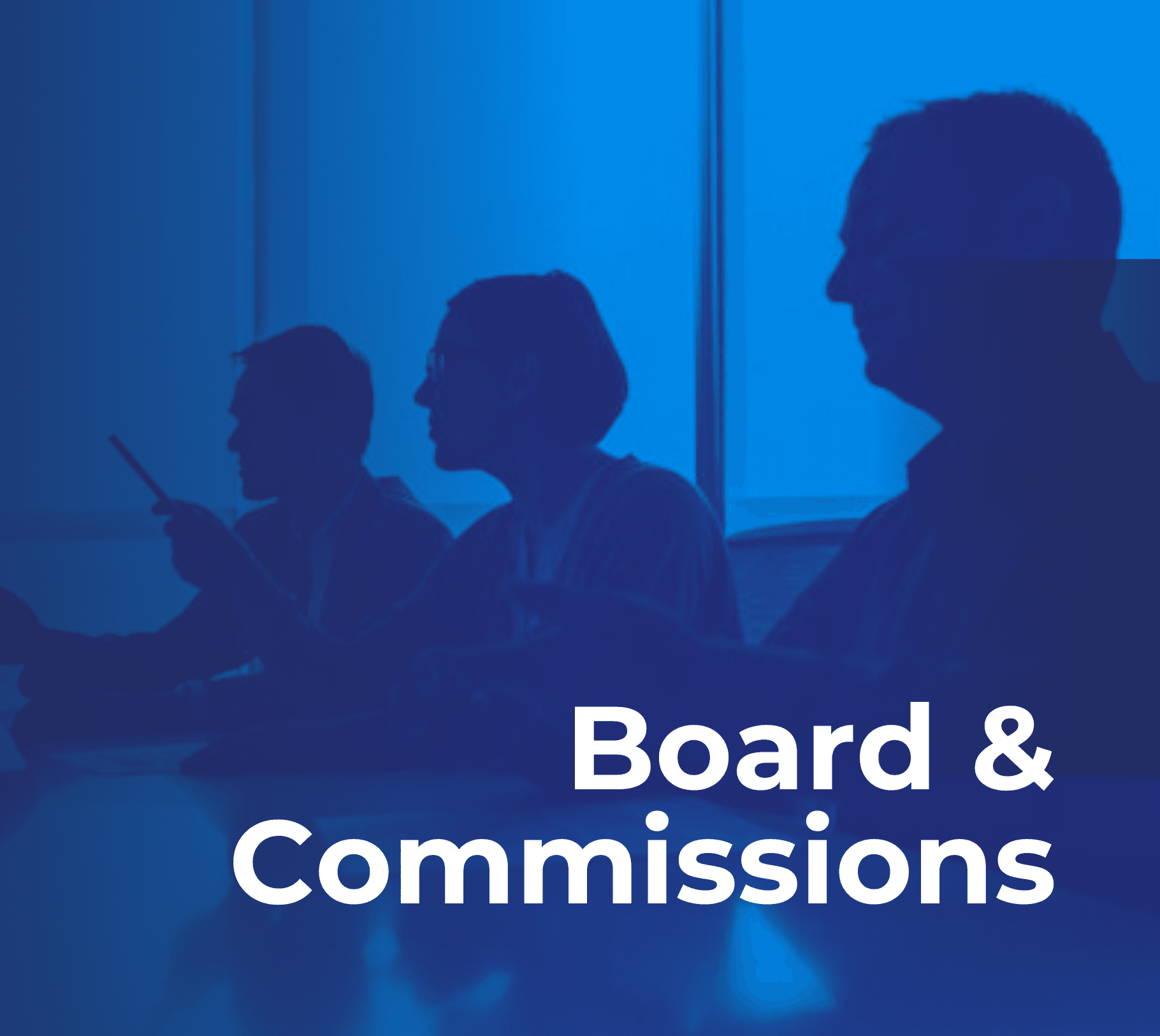 Board Commissions Gov. Banner (PNG)