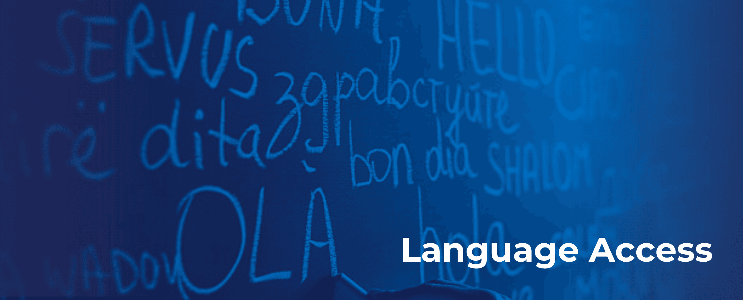 Language Access Government Banner (PNG)