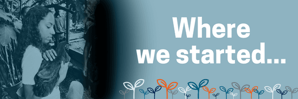 Sustainability - Where we started