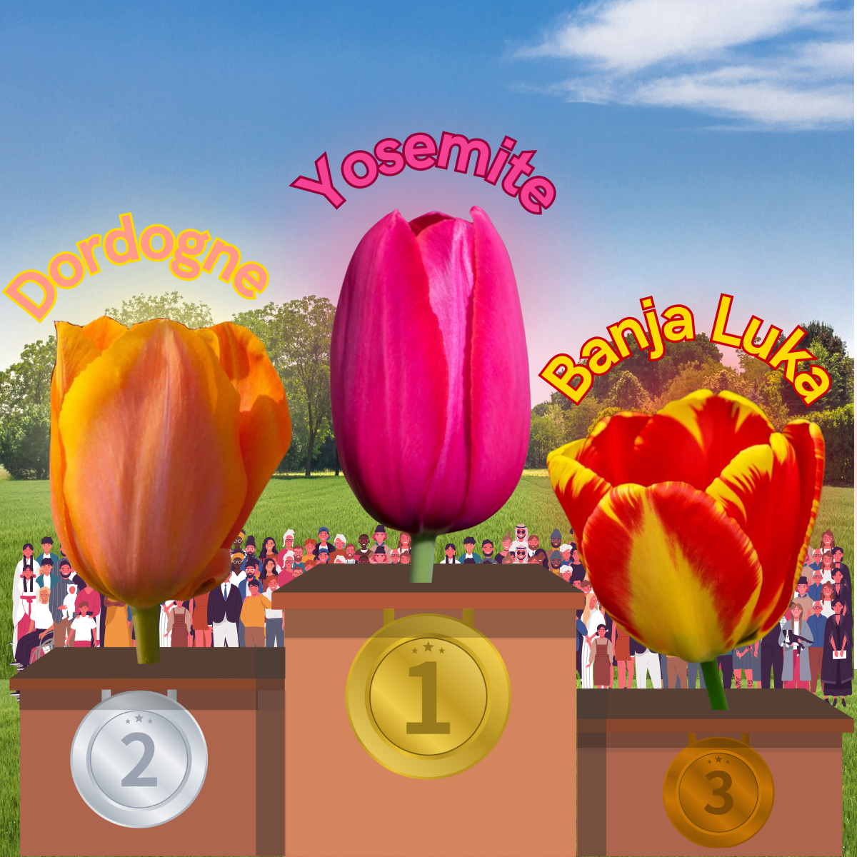 Winners Graphic for the 2024 Tulip Fest Voting graphic