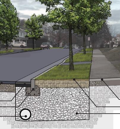 Ramsey Place Green Infrastructure